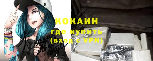 прущие грибы Арсеньев
