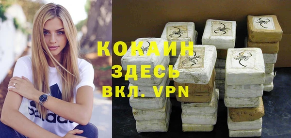 прущие грибы Арсеньев