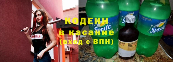 прущие грибы Арсеньев