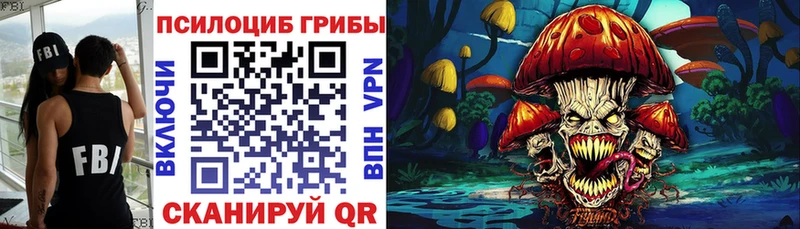 KRAKEN онион  купить закладку  Злынка  Псилоцибиновые грибы Psilocybine cubensis 